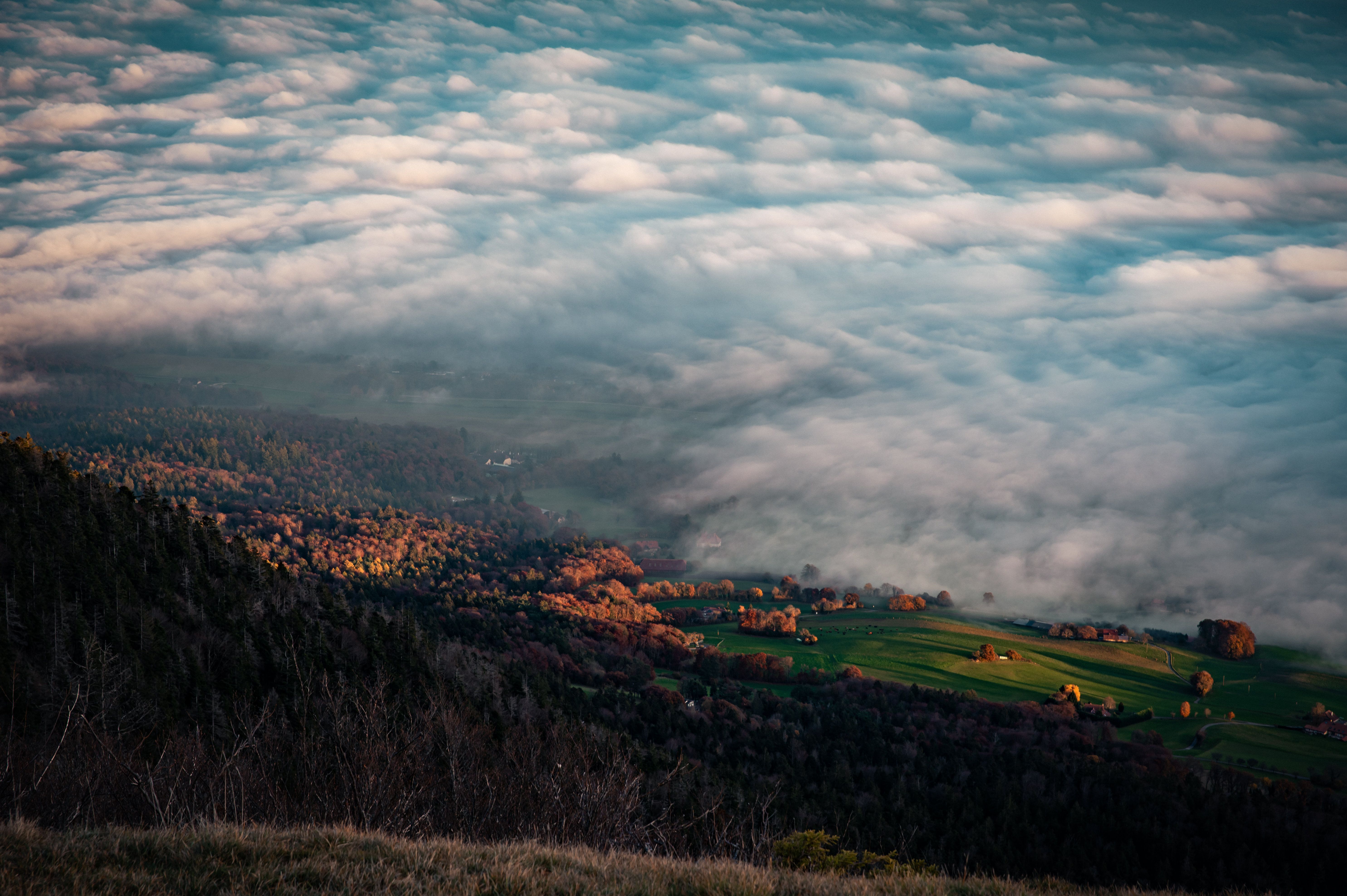 Photographie artistique nature