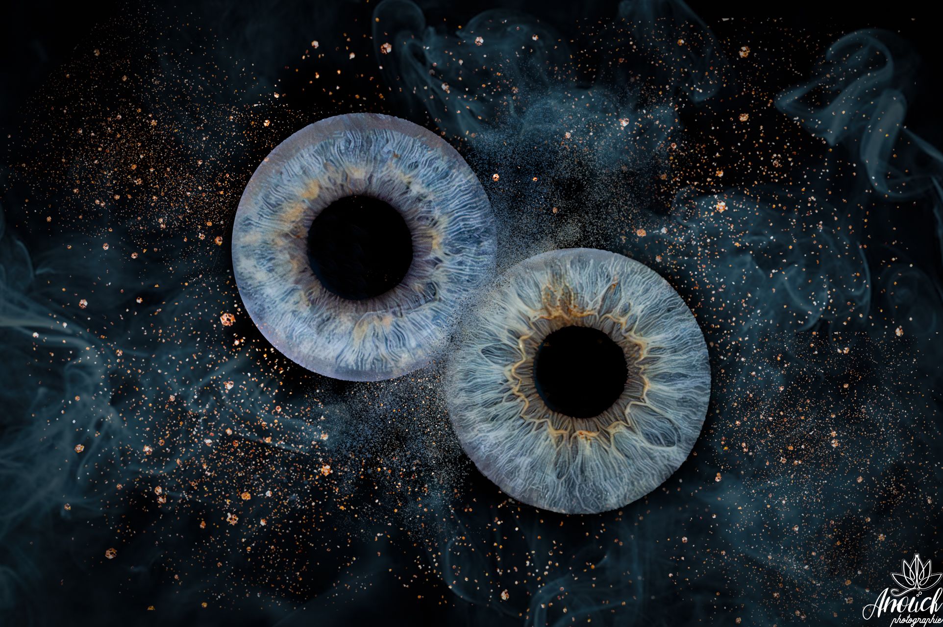 Photographie d’iris en macro avec rendu artistique