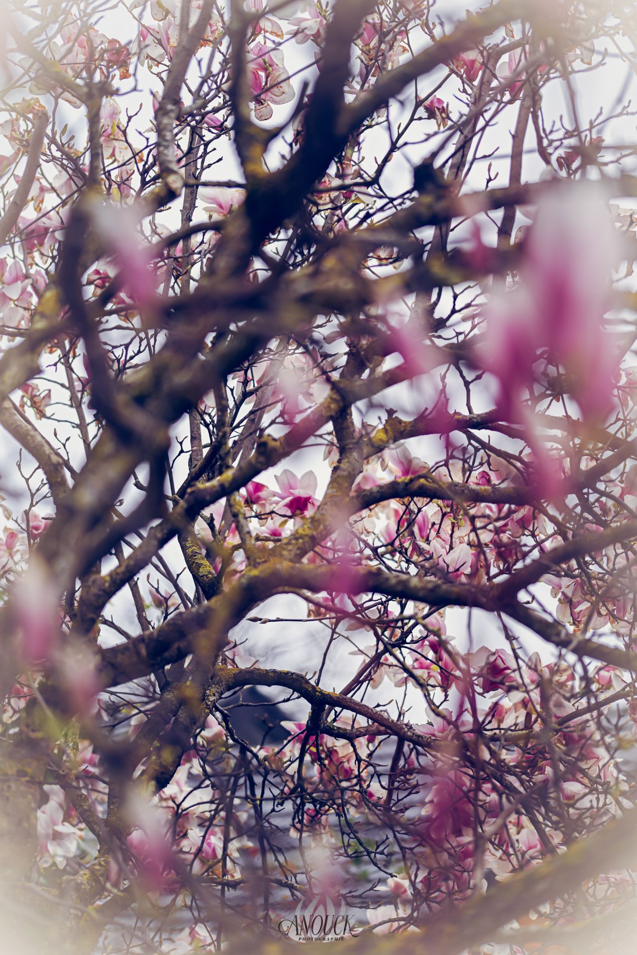 Photographie artistique à Neuchâtel