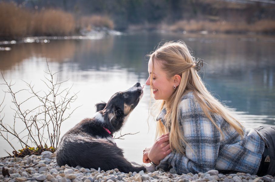 Photo chien près de Neuchâtel