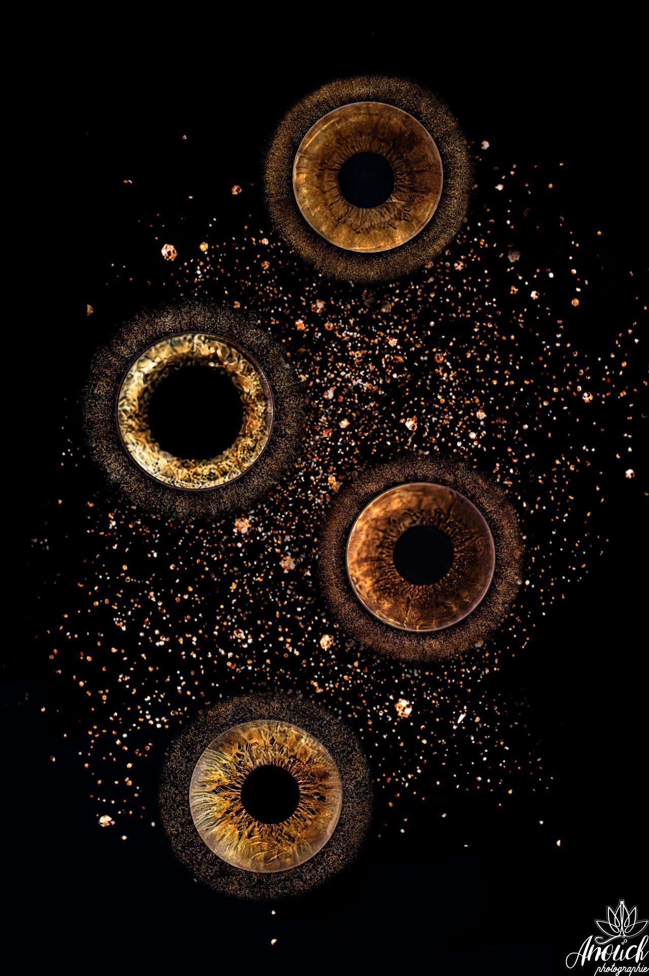 Photographie d’iris artistique réalisée à Neuchâtel