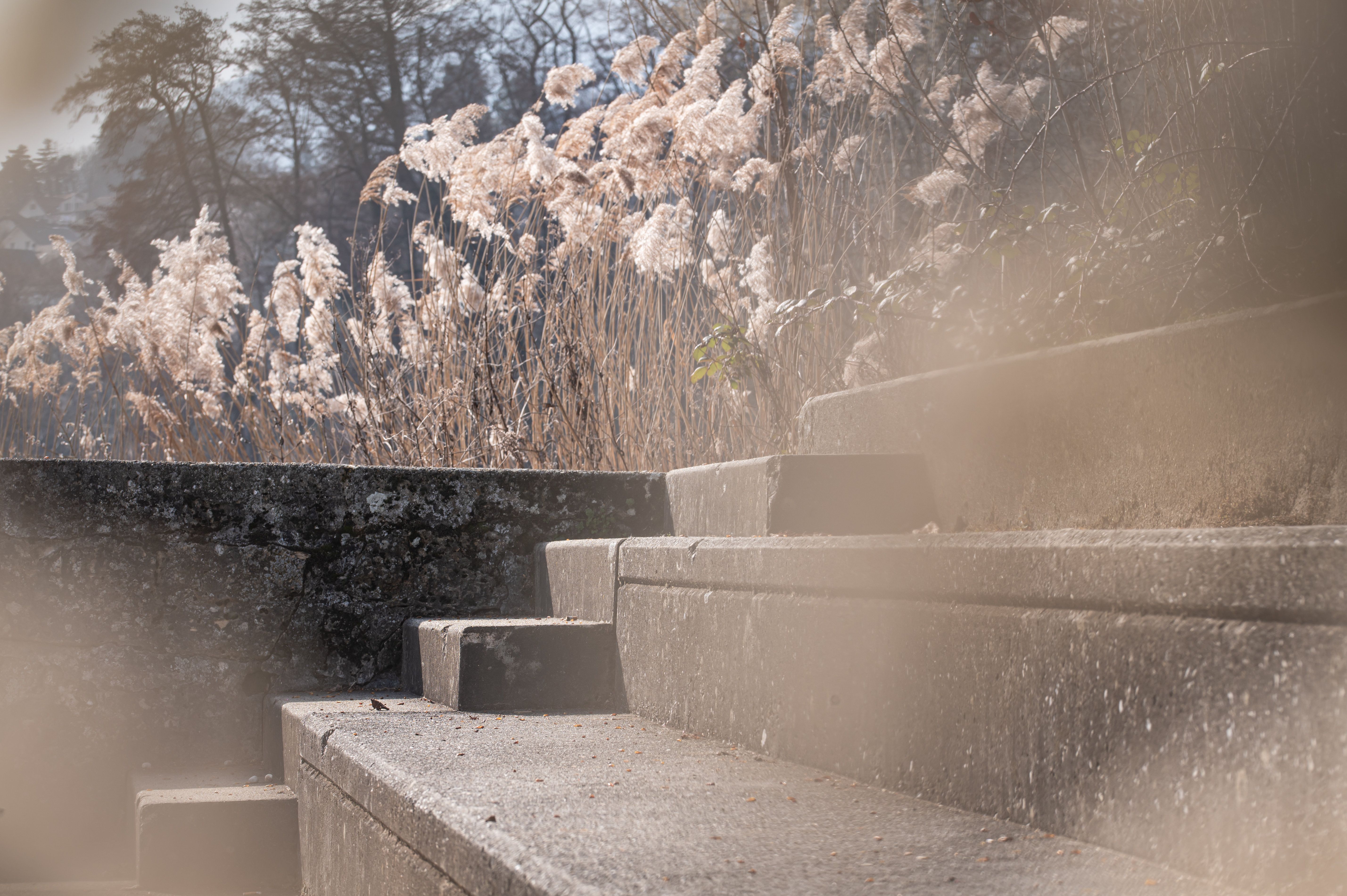 Photographie artistique nature