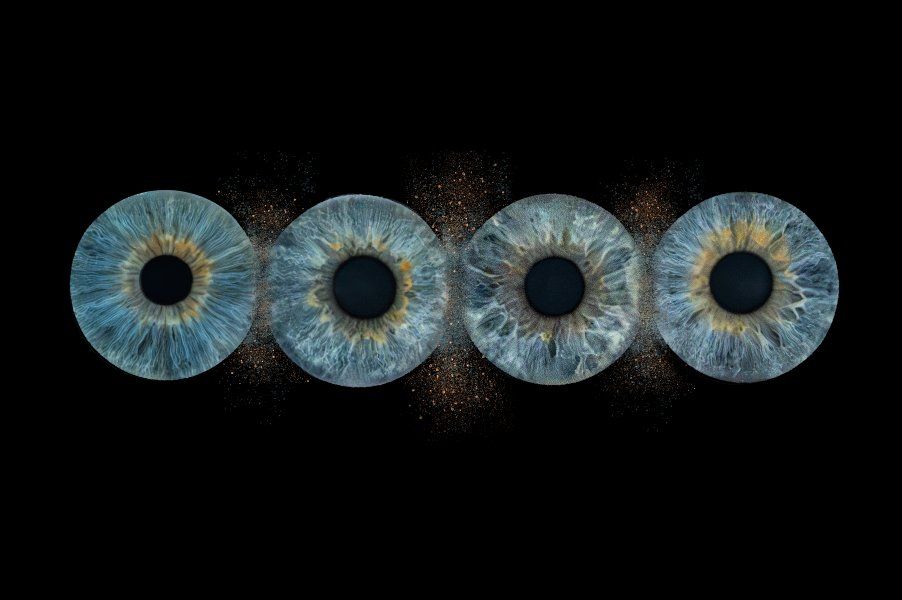 Photo iris Neuchâtel