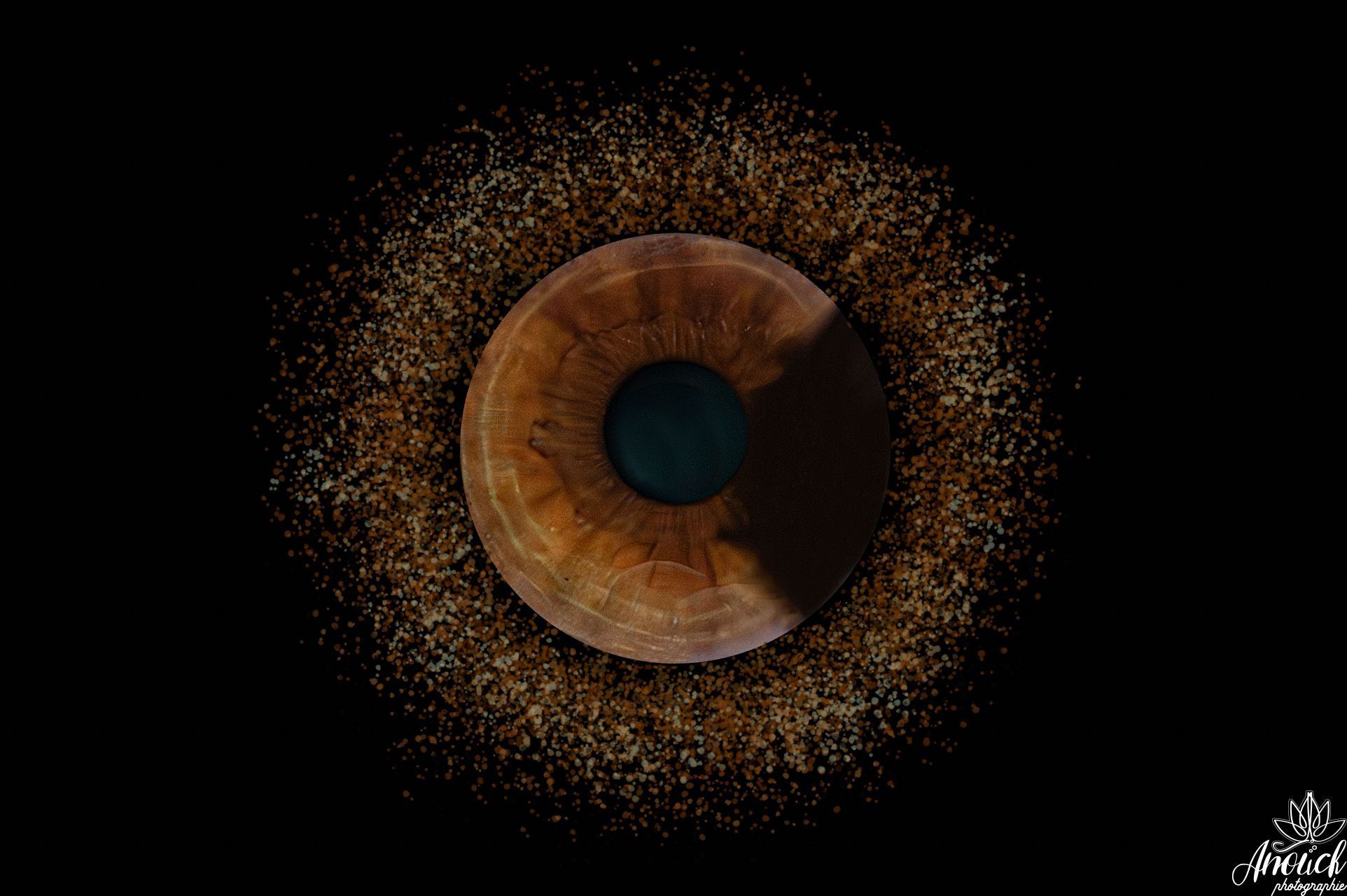 Détail d’iris transformé en œuvre artistique personnalisée