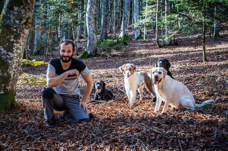 Séance photo avec chien proche de Neuchâtel