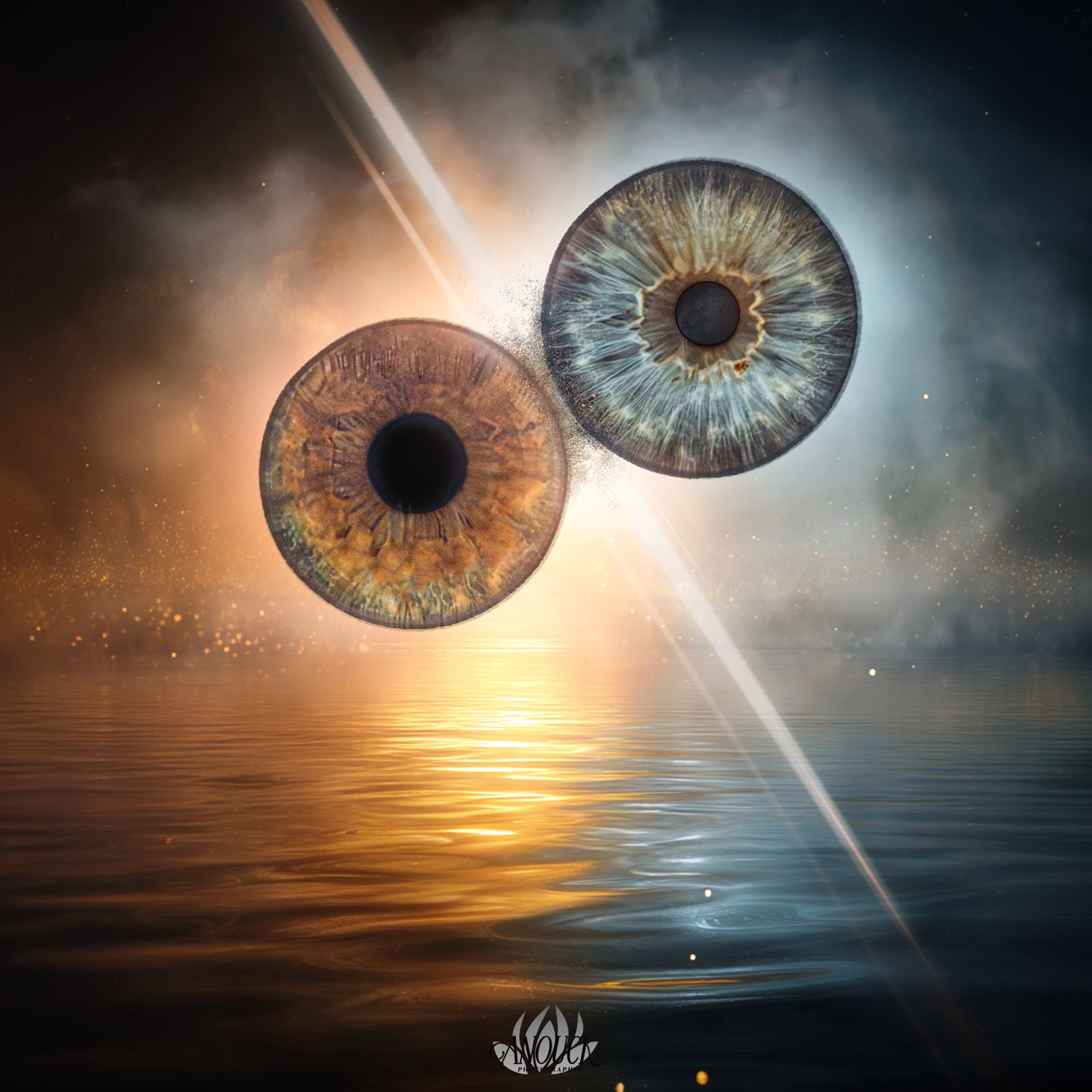 Œuvre artistique réalisée à partir d’une photographie d’iris