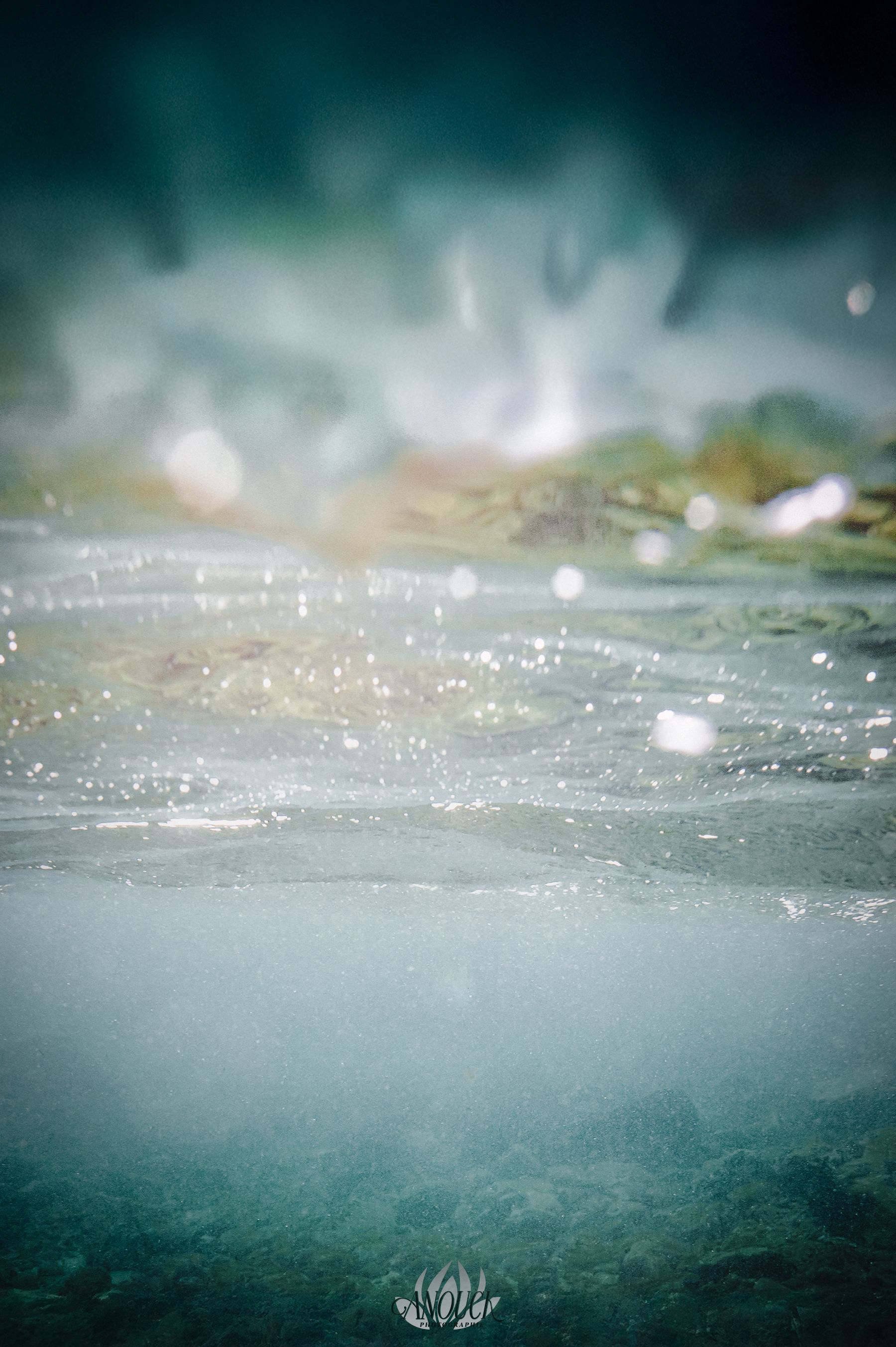 Photographie artistique aquatique du lac de Neuchâtel